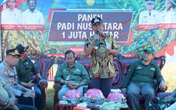 Pj Bupati Takalar Panen Raya Padi di Desa Popo