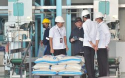 Panen Raya, Presiden Target Bulog Serap 2,4 Juta Ton Gabah Petani