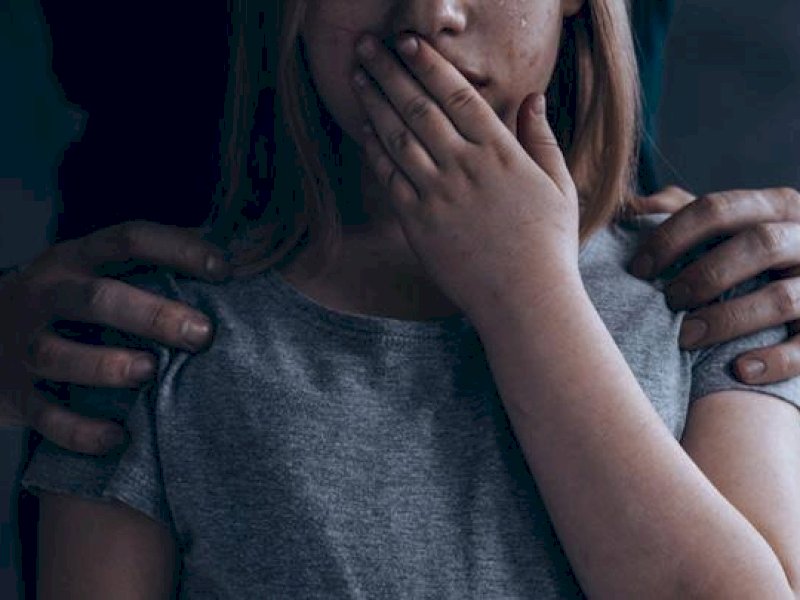 Dugaan Pencabulan Anak Dibawah Umur, Penyidik Sebut Prosesnya Sesuai Prosedur