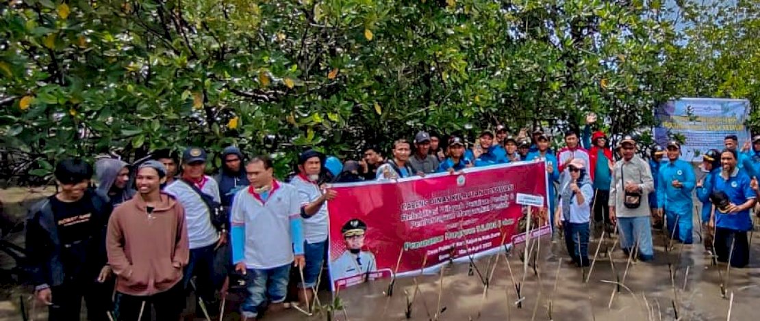 Cabang Dinas Kelautan Bosowasi melakukan penanaman pohon bakau sebanyak 36 ribu batang di wilayah pesisir di Desa Polewali, Kecamatan Kajuara, Kabupaten Bone, Senin, 20 Maret 2023.