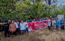 Target 154 Ribu Batang di Wilayah Bosowasi, DKP Sulsel Tanam Mangrove di Desa Polewali Bone