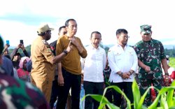 Optimalkan Lahan Tidur, Kementan Siapkan Keerom Jadi Sentra Komoditas Jagung Nasional