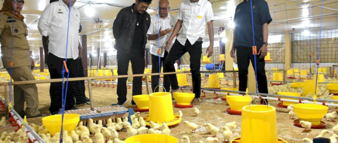 Menteri Pertanian Syahrul Yasin Limpo (Mentan SYL) meninjau kandang ayam broiler modern dengan sistem closed house di Kabupaten Gowa.