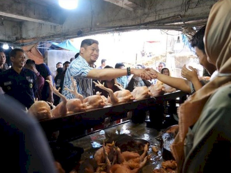 Harga Ayam di Gowa Melejit Selama Ramadan, Kenaikan Hingga Rp10 Ribu Per Ekor