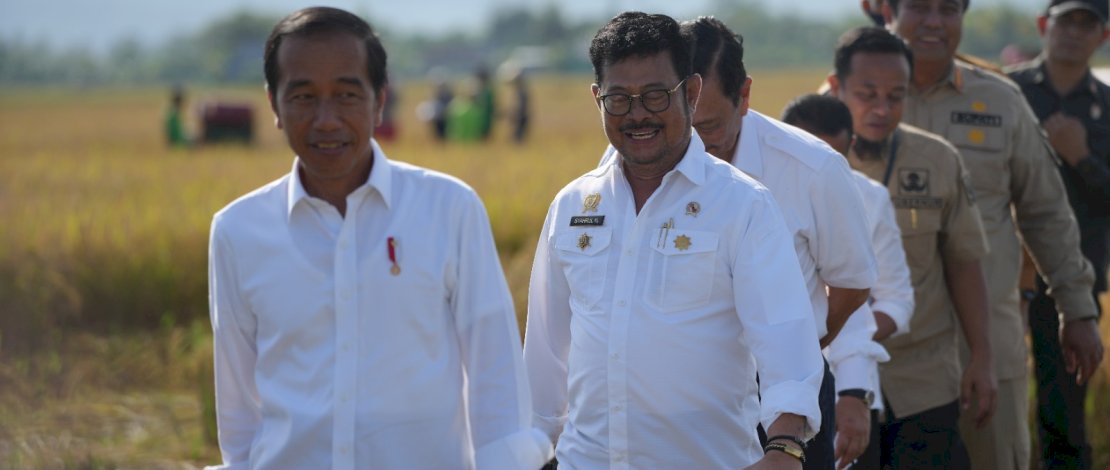 Presiden Jokowi meninjau jalannya panen raya padi di Kelurahan Baji Pamai, Kecamatan Maros Kota, Kabupaten Maros. Presiden Jokowi meninjau jalannya panen raya padi di Kelurahan Baji Pamai, Kecamatan Maros Kota, Kabupaten Maros.
