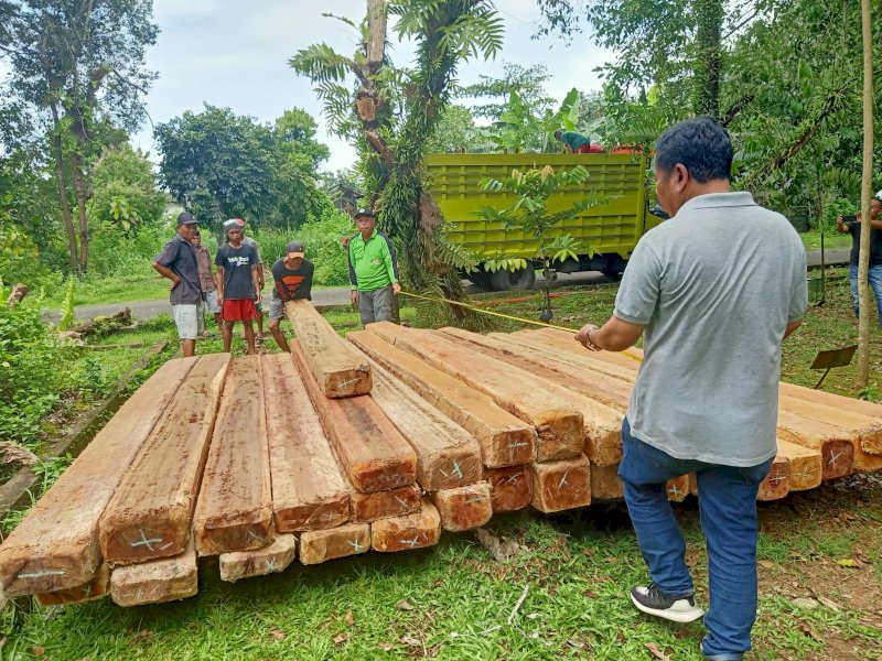 Berkas Lengkap, Penyidik Gakkum KLHK Serahkan Pemilik dan Makelar Peredaran Kayu Ilegal ke Kejati Sulsel