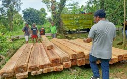 Berkas Lengkap, Penyidik Gakkum KLHK Serahkan Pemilik dan Makelar Peredaran Kayu Ilegal ke Kejati Sulsel