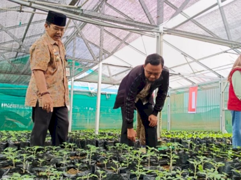 Program Biduan, DKP Parepare Bagikan 6.000 Bibit Cabai dan Tomat