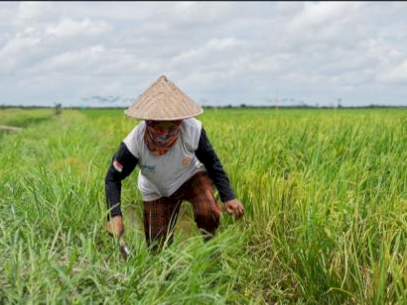BPS Rilis NTP Maret Naik, Capai 110,85