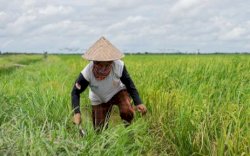 BPS Rilis NTP Maret Naik, Capai 110,85