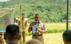 Kereta Api Rute Makassar-Parepare Beroperasi Bulan Ini, Taufan Pawe Sebut Akan Geliatkan Ekonomi Sulsel