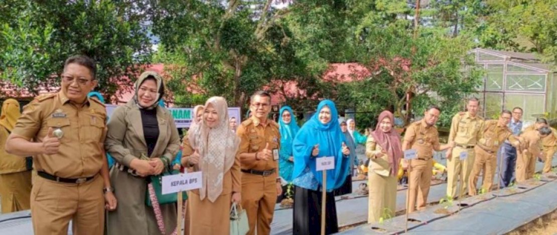 Gerakan Tanam Cabe serentak dilaksanakan di 22 Kelurahan se-Kota Parepare, Senin, 27 Februari 2023.