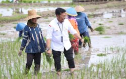 Petani Panen Raya, Pasokan di Pasar Induk Kramat Jati Melimpah dan Harga di Jabodetabek Stabil