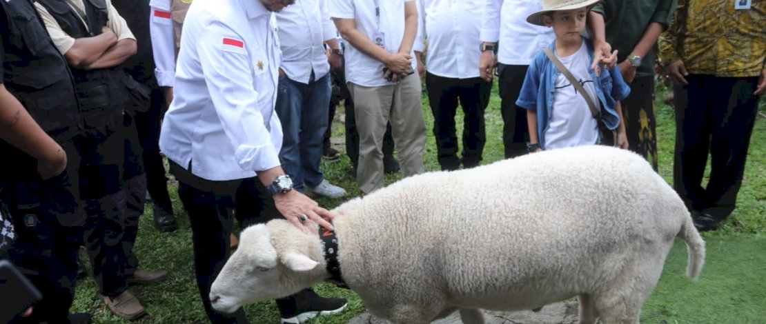 Mentan SYL saat meninjau budidaya domba di Mahir Farm, Cijeruk, Bogor, Jawa Barat, Minggu, 8 April 2023.