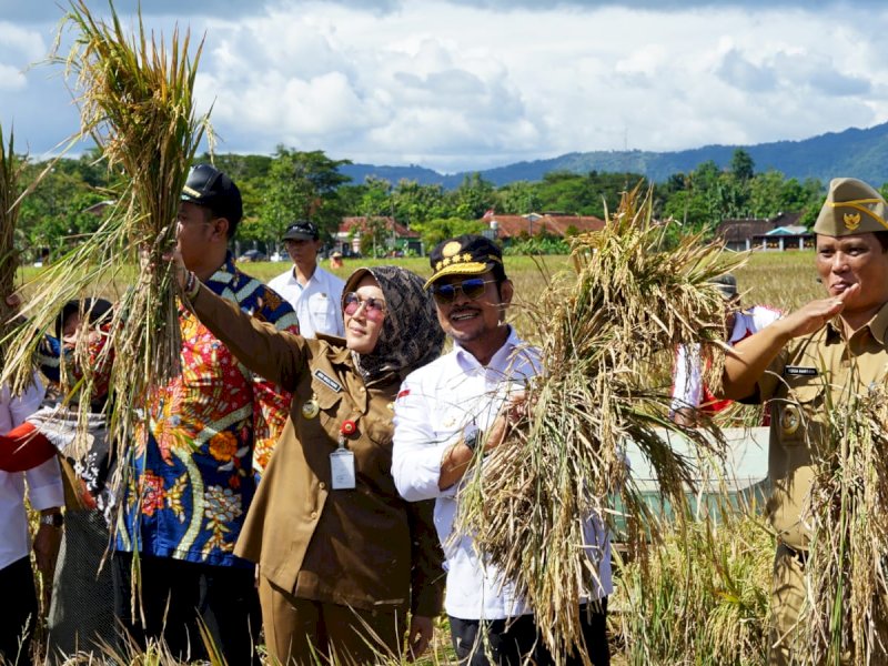 Mentan SYL Bersyukur Kabupaten Klaten Panen Padi IP400, Segera Perluas Ke Daerah Lain