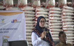 Bupati Luwu Utara Salurkan Bantuan Beras Pemerintah untuk 31.503 KK