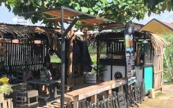 Lorong Wisata Agatis Mulai Ramai Dikunjungi Wisatawan