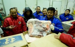 Ribuan Ton Daging Beku Siap Amankan Kebutuhan Lebaran