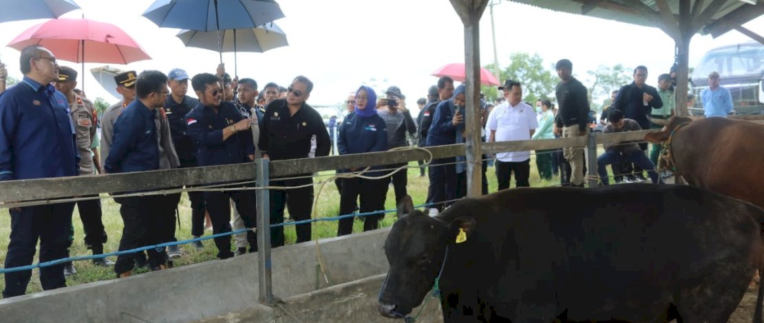 Mentan SYL saat meninjau PT. Berdikari United Livd Stock (BULs) di Kabupaten Sidrap, Sulawesi Selatan, Minggu, 16 April 2023.
