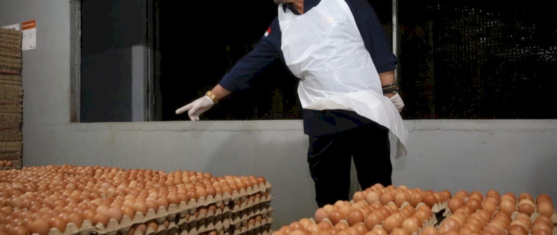 Mentan SYL saat meninjau perusahan ternak PT Cahaya Mario Grup yang ada di Kabupaten Sidrap, Sulawesi Selatan.