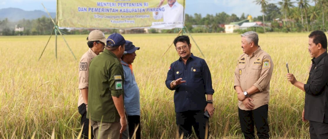 Menteri Pertanian Syahrul Yasin Limpo mendorong para petani di Desa Leppangan, Kecamatan Patampanua, Kabupaten Pinrang, Provinsi Sulawesi Selatan untuk mempercepat proses tanam seusai panen raya yang digelar hari ini, Minggu, 16 April 2023. Menteri Pertanian Syahrul Yasin Limpo mendorong para petani di Desa Leppangan, Kecamatan Patampanua, Kabupaten Pinrang, Provinsi Sulawesi Selatan untuk mempercepat proses tanam seusai panen raya yang digelar hari ini, Minggu, 16 April 2023.
