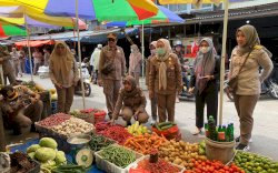 Jelang Lebaran, Kementan Pantau Stok Bahan Pangan di Sulsel
