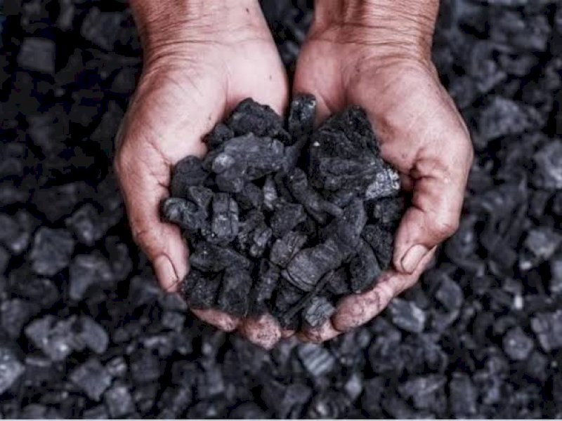 Gelombang Panas Serang Asia, Harga Batu Bara Tetap Lemah