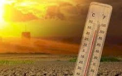 Cara Merawat Mobil di Tengah Cuaca Panas Ekstrem, Salah Satunya Rutin Cek Air Radiator