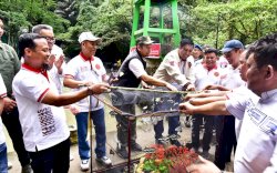 Gubernur Sulsel Lepas 19 Spesies Kupu-kupu di Bantimurung