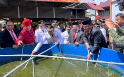 Membanggakan! Mendagri dan Kepala Daerah Panen Cabai, Ikan, Hingga Ngopi Bareng di Lorong Wisata Sydney
