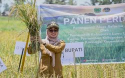 Luwu Utara Mantapkan Posisi Sebagai Daerah Penyangga Pangan di Sulsel