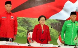 Effendi Simbolon Minta Megawati Mundur dari Ketua Umum, Ini Respon PDIP 