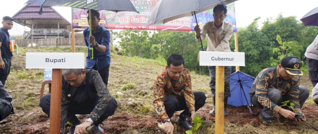 Kembalikan Kejayaan Sutera, Gubernur Sulsel Tanam 1 Juta Bibit Murbei