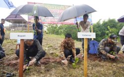 Kembalikan Kejayaan Sutera, Gubernur Sulsel Tanam 1 Juta Bibit Murbei