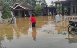 Diguyur Hujan Deras, Puluhan Rumah Di Bone Terendam Banjir