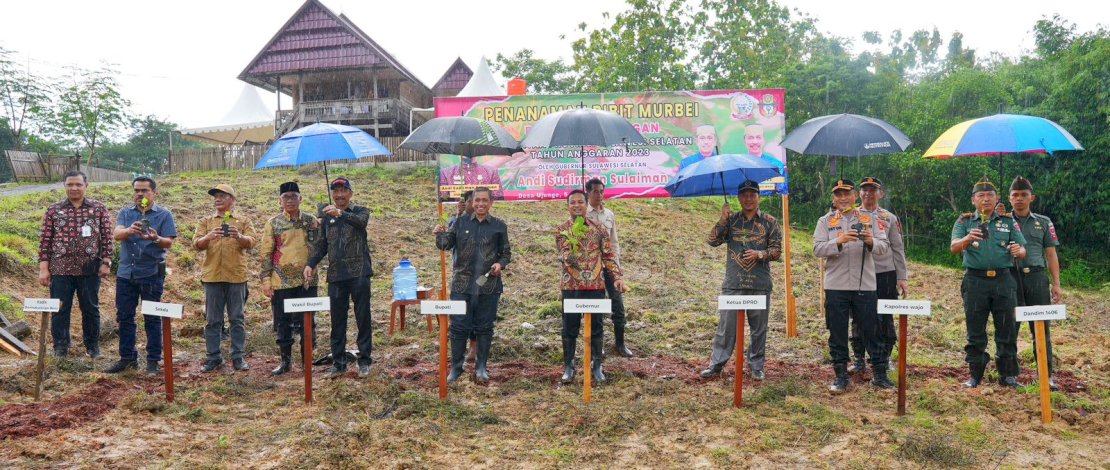 Gubernur Sulsel melakukan penanaman pohon murbei.