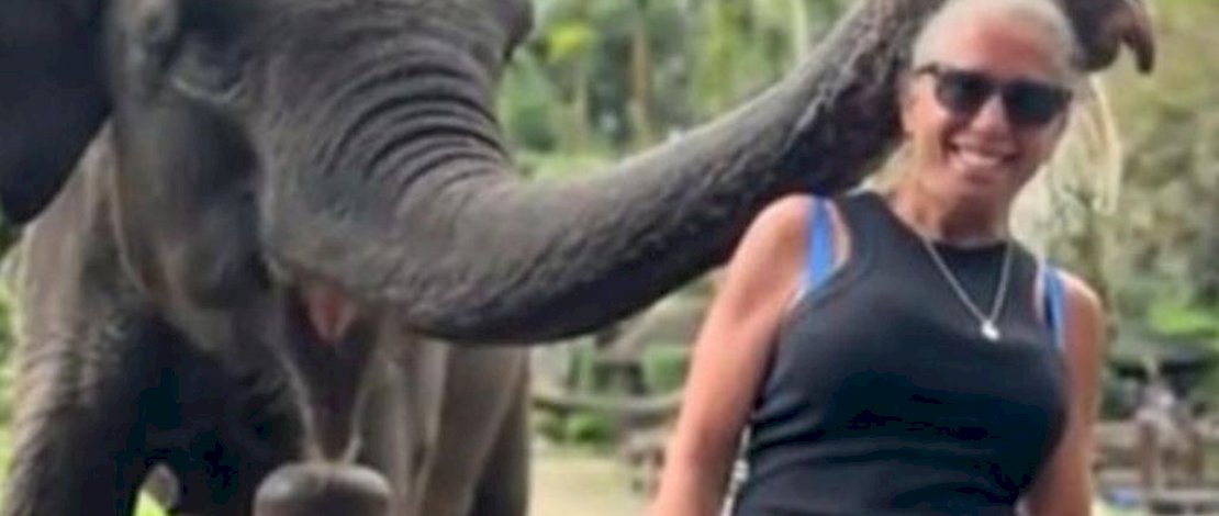 Batal Foto Bareng! Turis di Bali Diserang Gajah hingga Tangannya Nyaris Putus