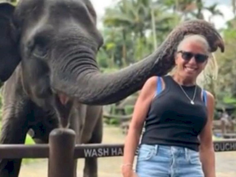 Batal Foto Bareng! Turis di Bali Diserang Gajah hingga Tangannya Nyaris Putus