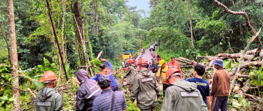Respon Cepat Tim SAR Brimob Bone Evakuasi Pohon Tumbang Yang Tutup Akses Jalan