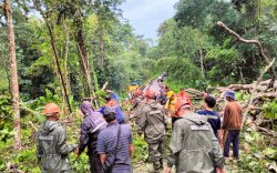Respon Cepat Tim SAR Brimob Bone Evakuasi Pohon Tumbang Yang Tutup Akses Jalan