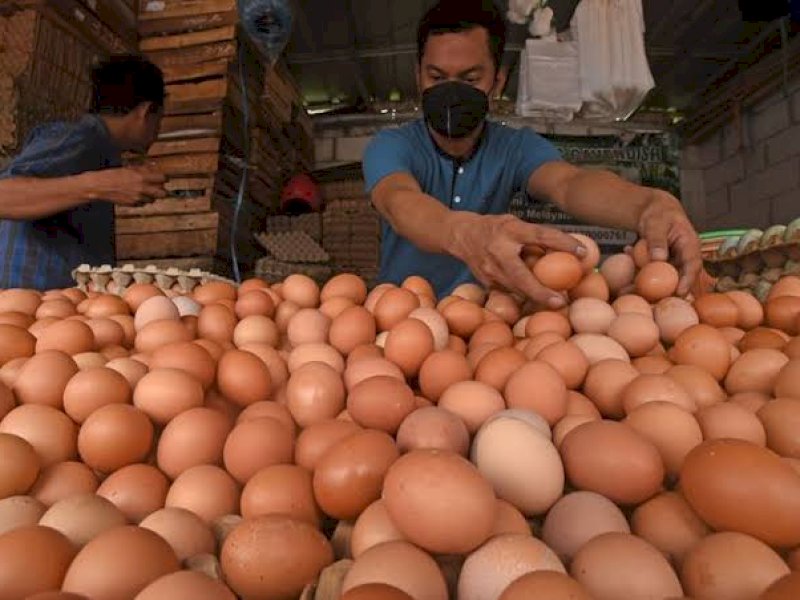Harga Telur Naik, Ini Penyebabnya Menurut Bapanas