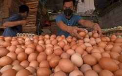 Harga Telur Naik, Ini Penyebabnya Menurut Bapanas