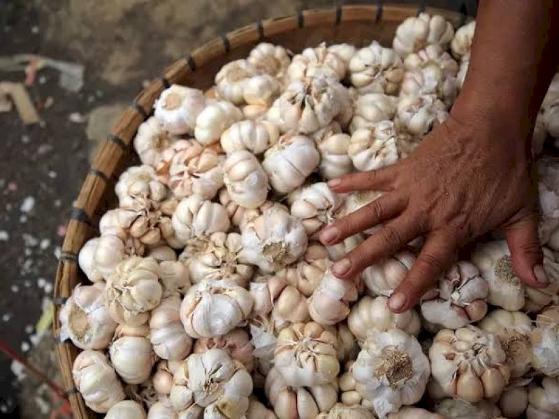 Harga Bawang Putih Melonjak, Polri Turunkan Satgas Untuk Investigasi