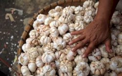 Harga Bawang Putih Melonjak, Polri Turunkan Satgas Untuk Investigasi