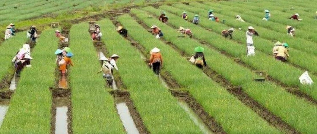 UMKM Hijau Bantu BI Jaga Perekonomian dan Lingkungan di Sulsel