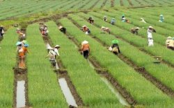 UMKM Hijau Bantu BI Jaga Perekonomian dan Lingkungan di Sulsel