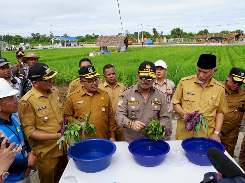 Hasil Penelitian BSIP Soal Biosaka Sangat Prematur 