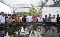 Bupati Gowa Diusulkan Kementan Terima Penghargaan Presiden RI Tanda Kehormatan Satyalancana