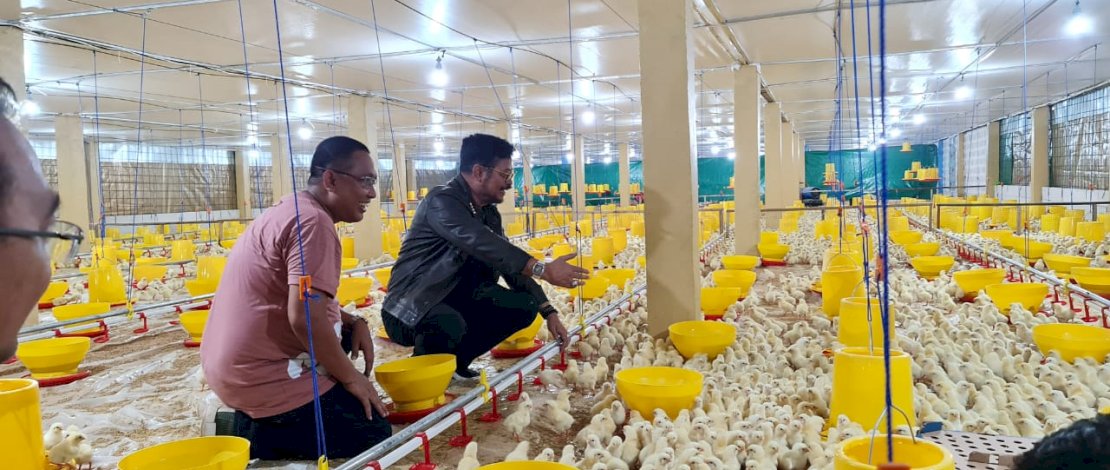 Kabupaten Gowa Jadi Lokasi Pengembangan Peternakan Ayam Broiler