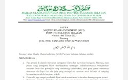 Fatwa MUI Sulsel, Halal Jual Daun Ubi Untuk Pakan Babi
